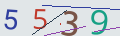 verifycode